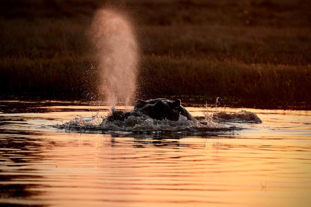 Ndlovu Log Home Dinokeng Klipdrift 외부 사진